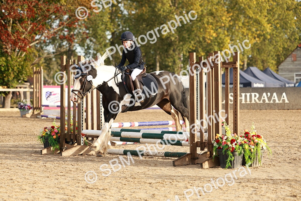 SBM_55419 - J11 - Junior Pony 50cm Championship
