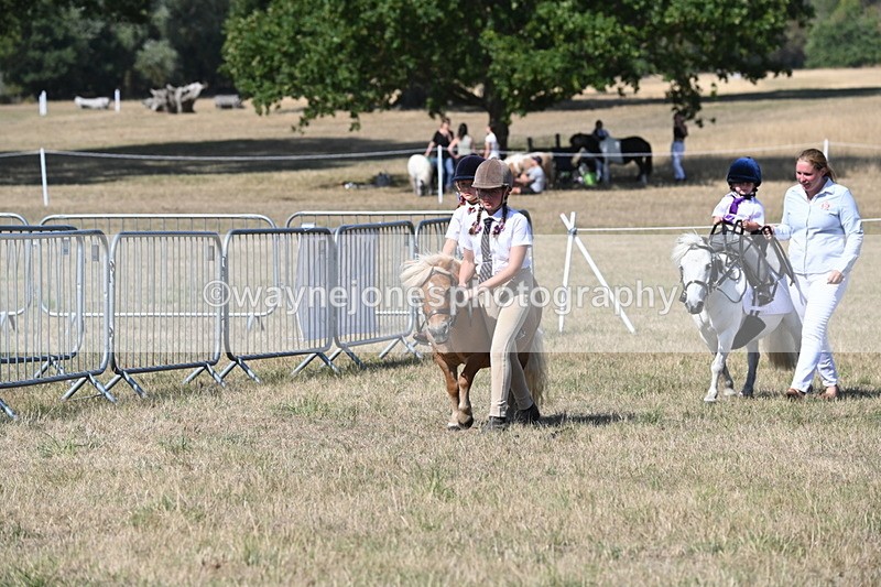 WJ6_9484 - Class 40 Cheekiest Pony/Horse