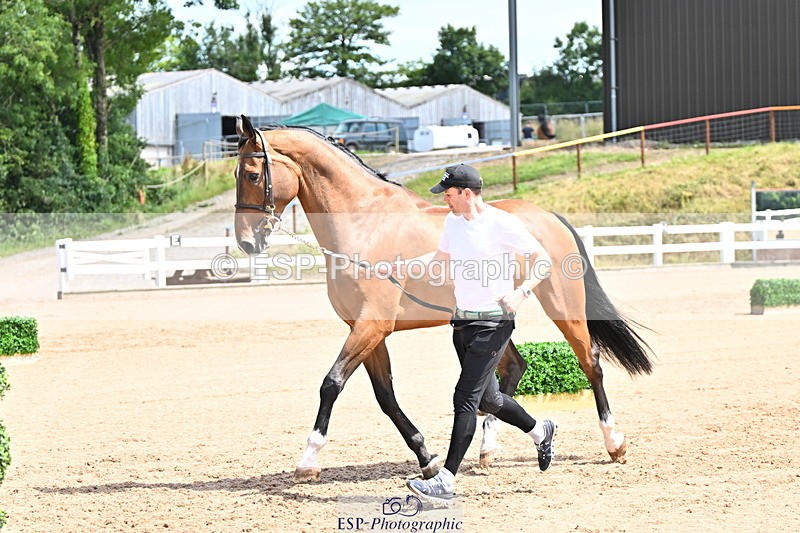 240718A-105248-01179 - Trot Up 12pm to 1pm