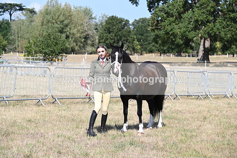 WJ6_5026 - Class 17 Mountain & Moorland