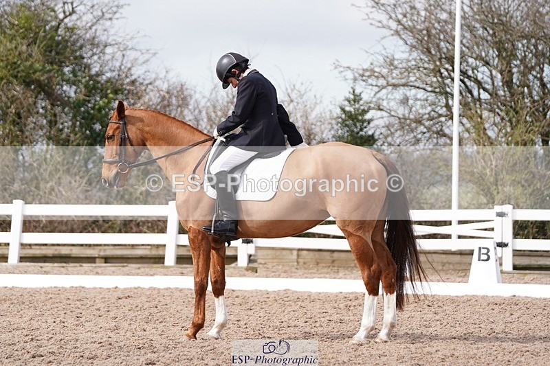 250322-105312-00187 - DR Elementary 1 Test