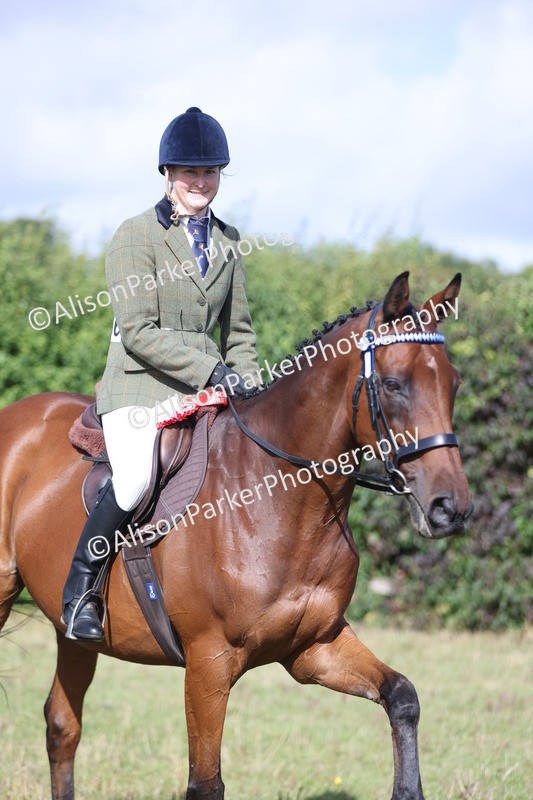 20250831-0933 - Class 14 - Ex Racehorse