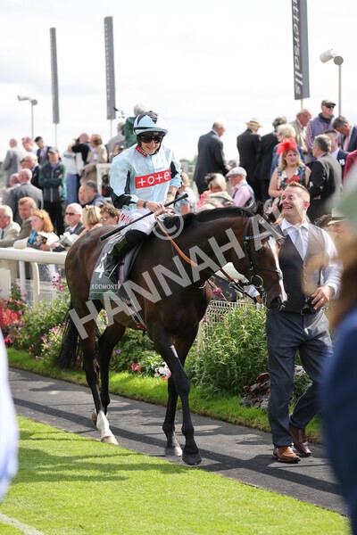 yr18082021r4-47 - Race 4 3.35pm Juddmonte International Stakes (British Champion Series race)