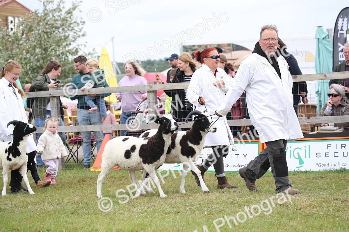 SBM_07785 - Grand Parade