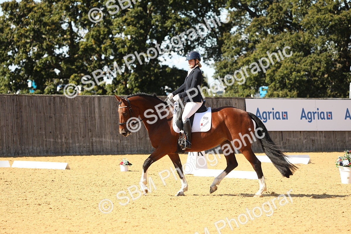 SBM_24516 - D17 - Grand Tour Championship - Novice 27