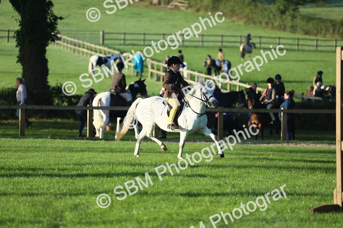 SBM_31799 - S28 - Nursery Stakes Working Hunter Pony