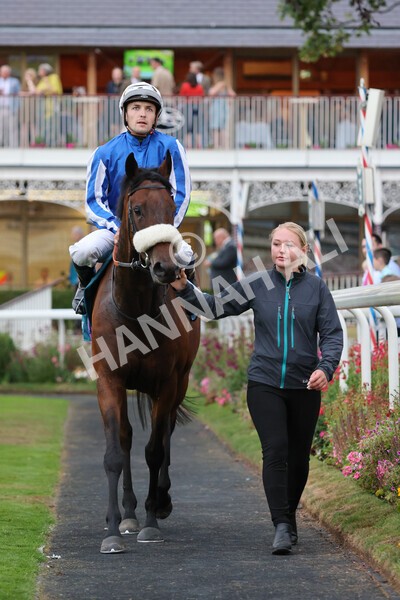 yr22072022r7-40 - Race 7 8.25pm The Sky Bet Go-Racing-In-Yorkshire Summer Festival Stakes