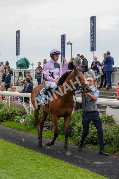 yr20082021r5-2 - Race 5 4.10pm British Stallion Studs EBF Convivial Maiden Stakes (Plus 10 Race)