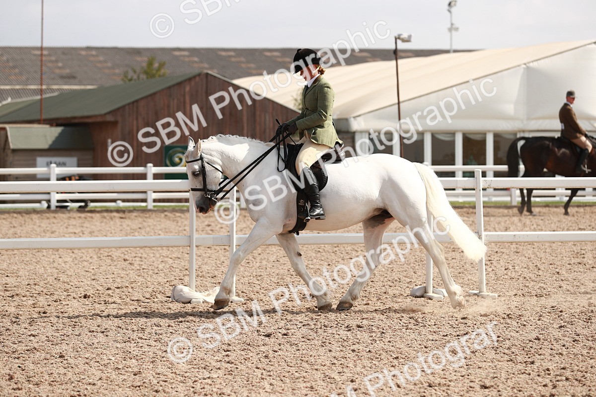 SBM_14865 - Class 212 Ridden Hunter - Small