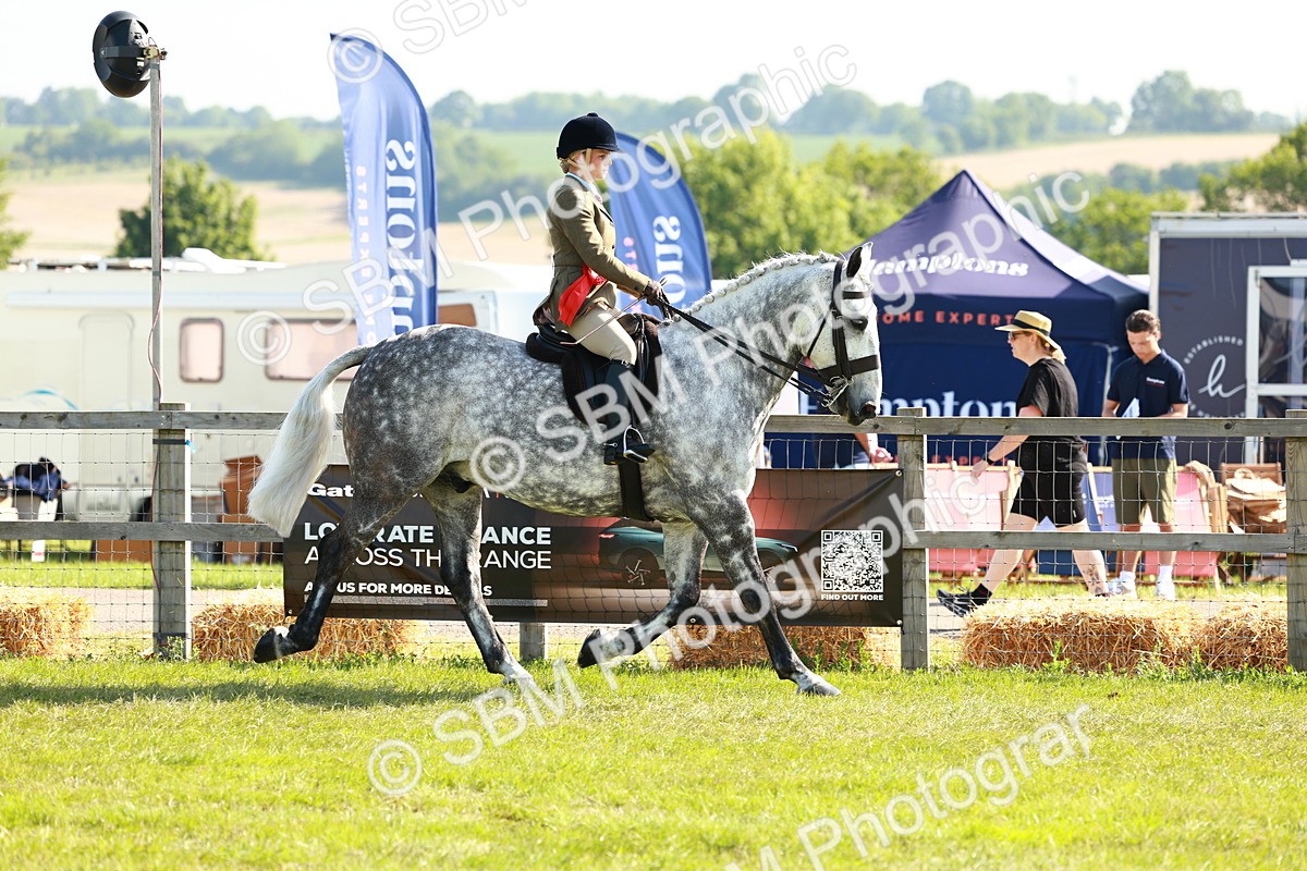 SBM_11881 - Class 66-69 - RIHS Ridden Hunters Inc Small Hunter