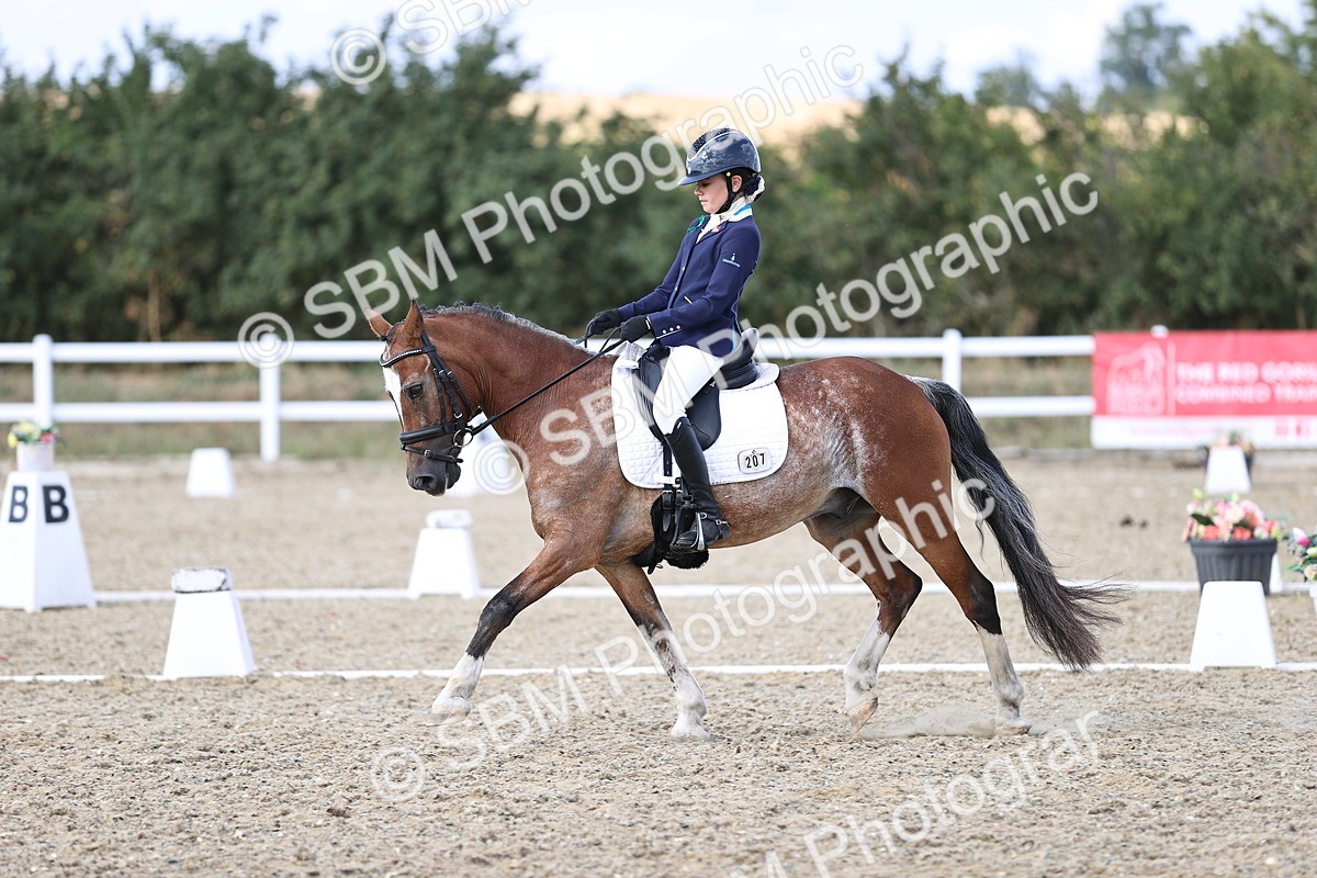 SBM_015972 - Class 5 - E5 Bronze  16.18.17.22