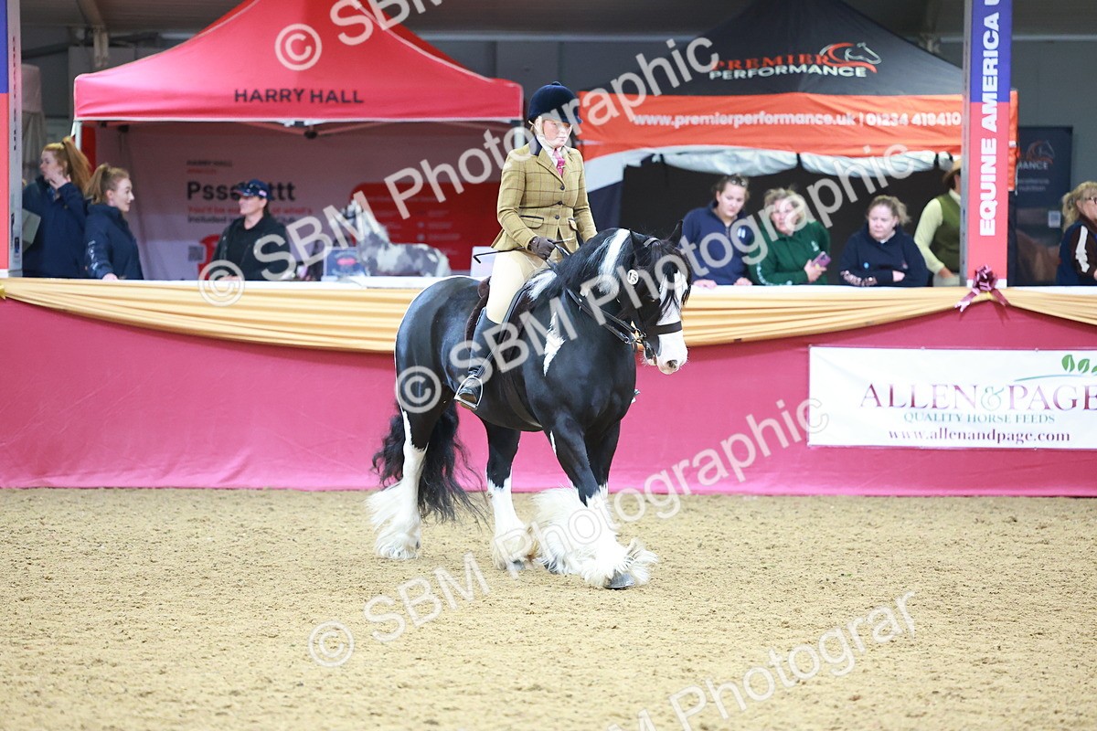 SBM_06274 - Class 12R - Ridden Pre-Vet