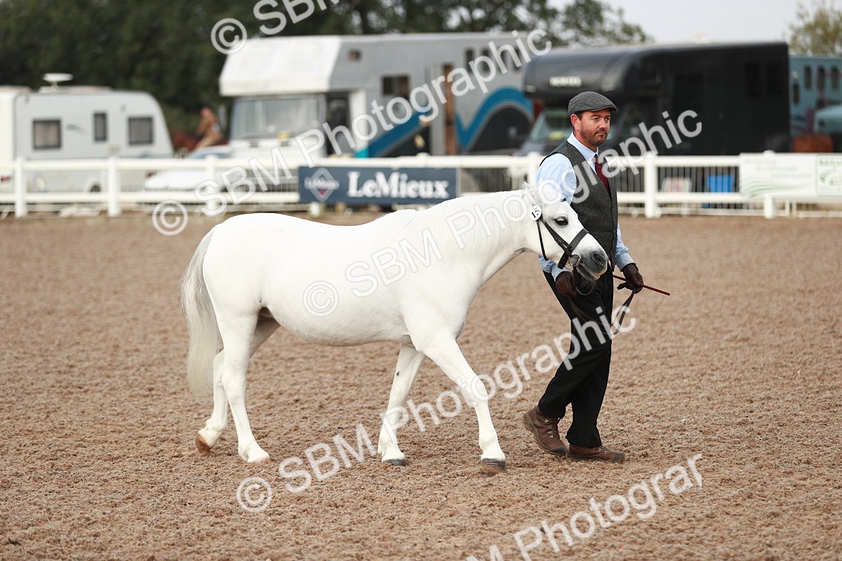 SBM_09476 - Class 201 Best Turned Out IH