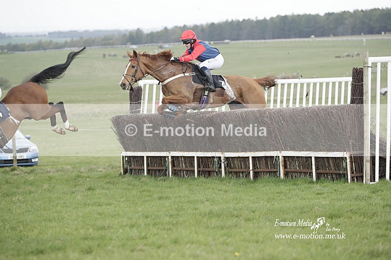 PtP 260323 0582 - New Forest Hounds Point-to-Point Larkhill 26/03/23
