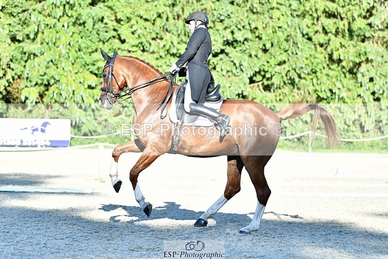 230623-184732-03337 - Cls 11 FEI PSG