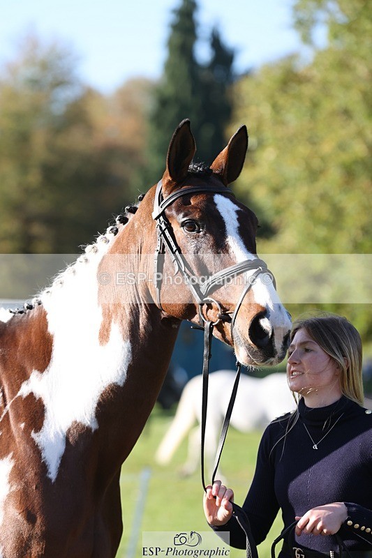 241027-095149-15546 - 331-Amber.Williams-COSMIC.MIKADO