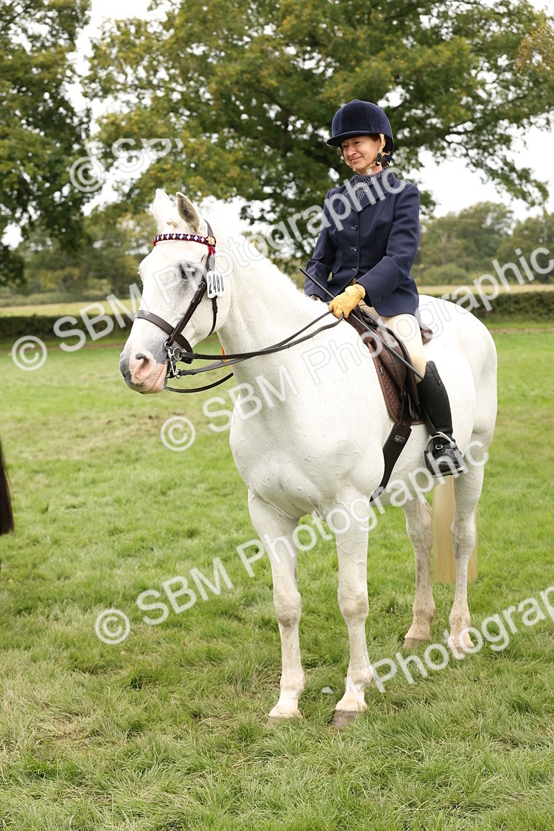 SBM_64342 - S65 - Riding Horse & Hack & Thoroughbred Ridden