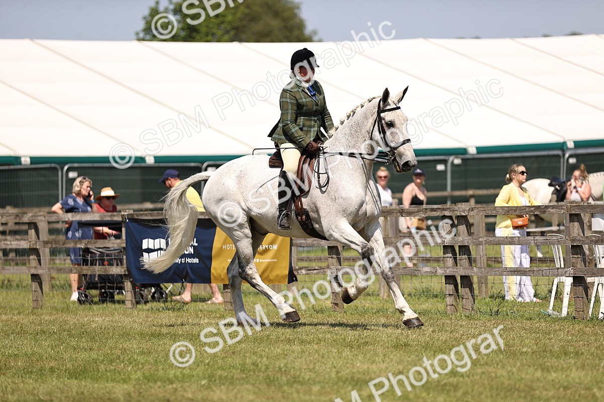 SBM_16096 - Class 79-80 - LIHS BSHA Rising Star Ridden Hunter