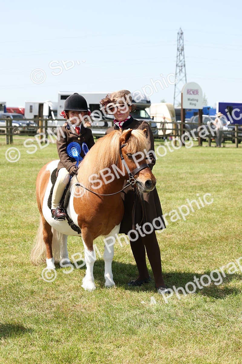 SBM_05421 - Class 24-25 - Mountain & Moorland In Hand Lead Rein and First Ridden