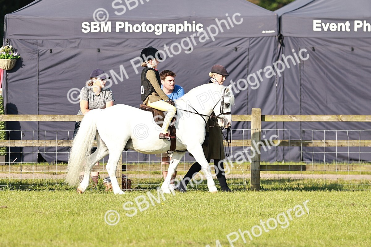 SBM_11005 - Class 106-107 - BSPS LIHS Working Sports Pony