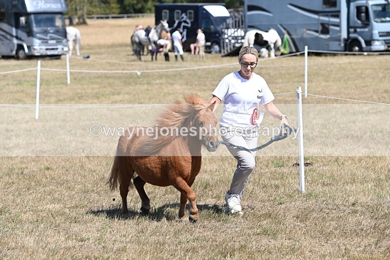 WJ6_9218 - Championship Classes 33-38