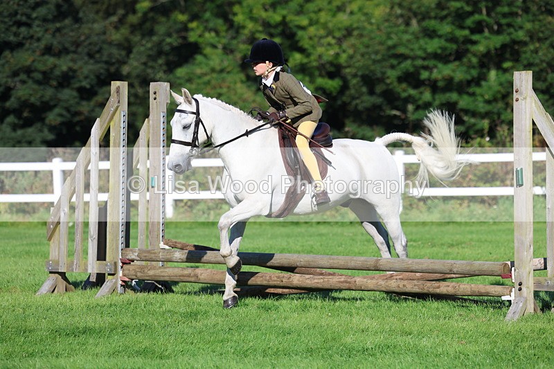 3E7A7504 - Class 1: Novice Working Hunter Pony