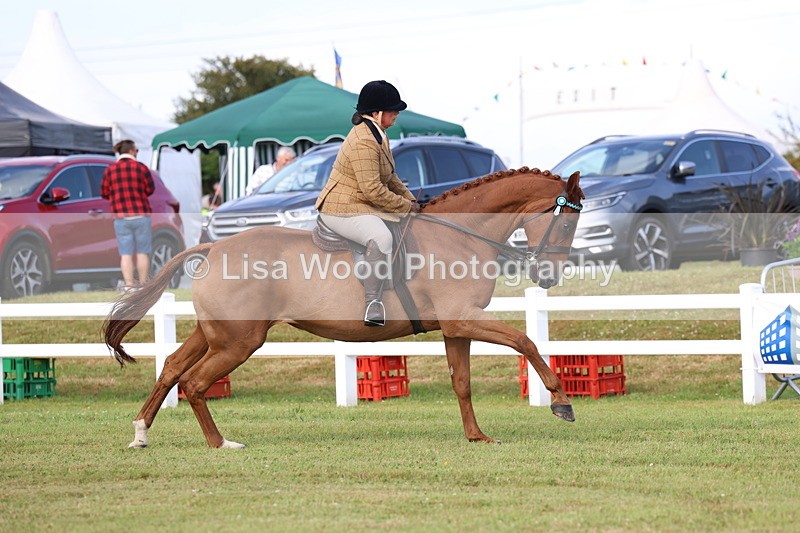 3E7A8237 - Class 2: Rising Star Large Hack/Riding Horse