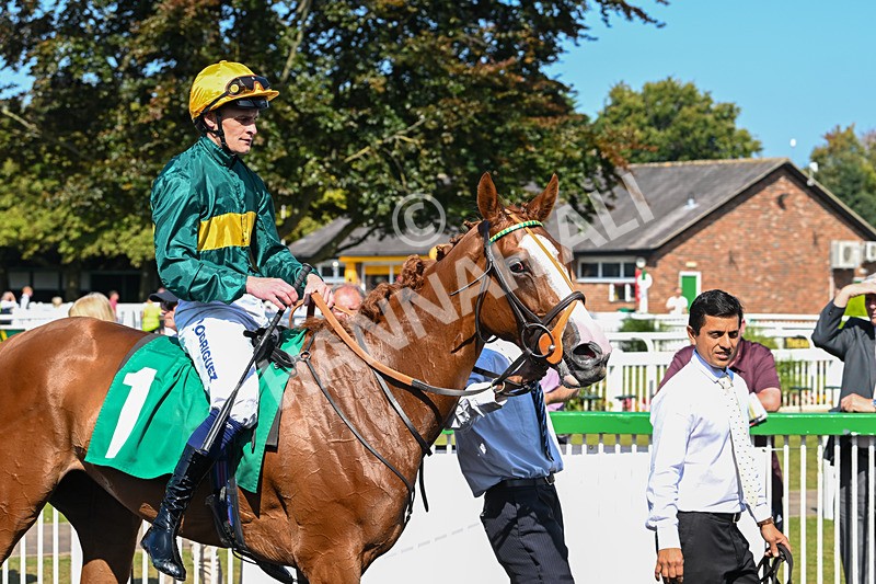 300824-Race 2-Consent-5773 - Race 2