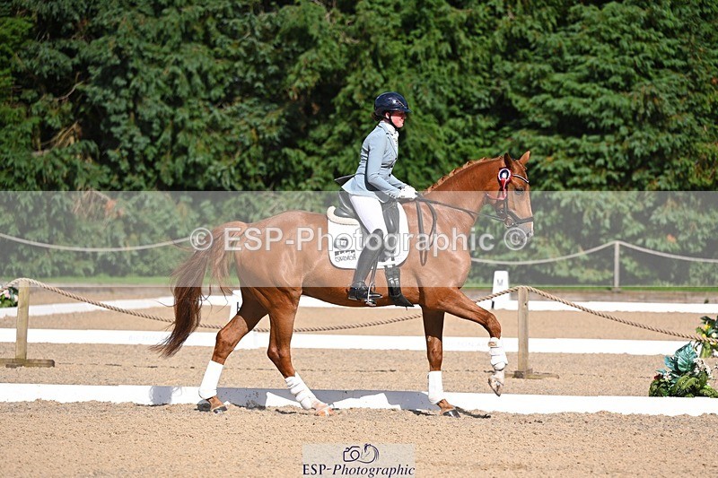 240809-163609-02417 - Novice Gold