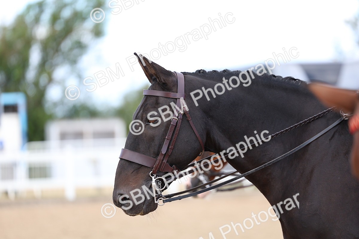 SBM_10105 - Class 304 - Ridden Part Bred Horse Pony