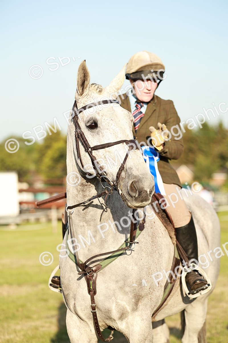 SBM_20581 - Class 117-119 - Sport Horse Working Hunter