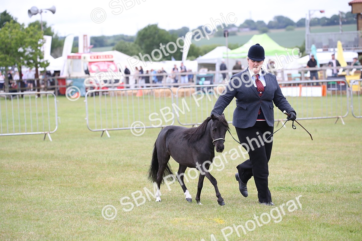 SBM_03497 - Class 23-25 - British Miniature Horse of the Year