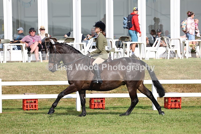 3E7A8894 - Class 3: Rising Star S/L Hunter