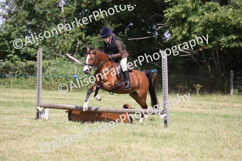 20260614-1750 - Class 21 - Novice Working Hunter Pony