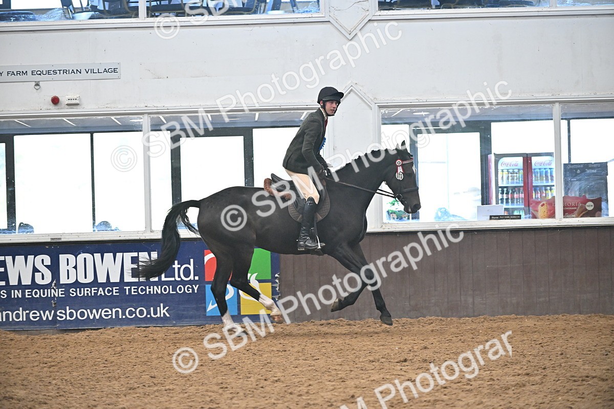 SBM_002413 - Class 22 - BSHA Ridden Hack & Riding Horse
