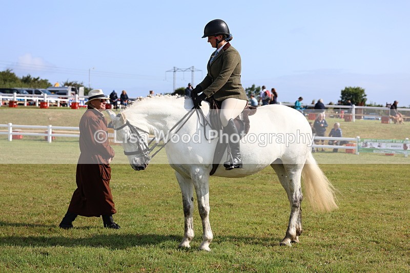 3E7A8775 - Class 3: Rising Star S/L Hunter