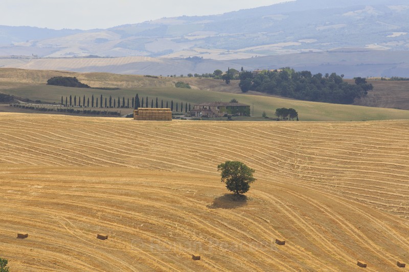  - Slovenia and Tuscany