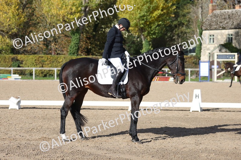 20251101-0610 - Class 4 - Novice 2