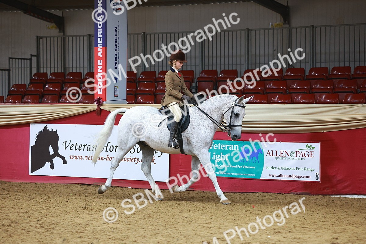SBM_09375 - Class 102 - HOYS Veteran Qualifier - Ridden Veteran