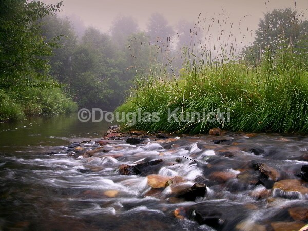  - Allegheny National Forest