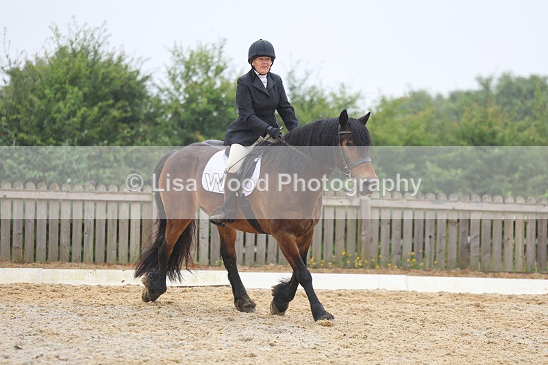 3E7A8476 - Class 2: Intro 3 2024 section B