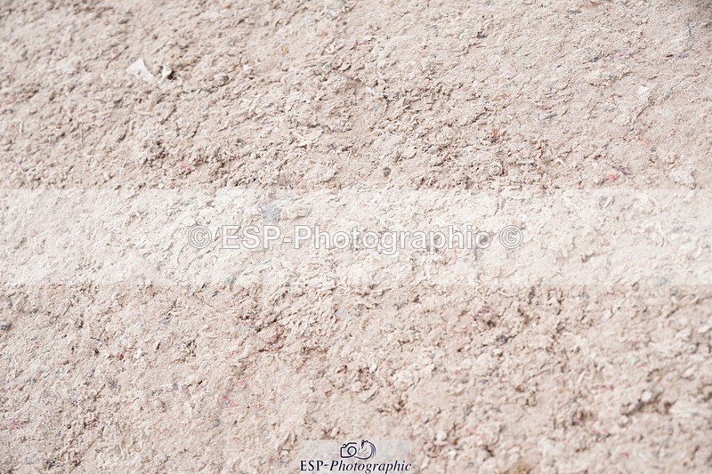 250525-110428-09207 - Cls 32 A&B Snr Brit Nov & 90cm Open