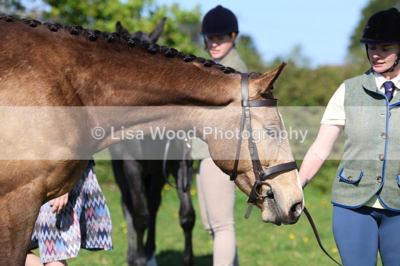 3E7A9045 - Class 15: Two/Three Year olds