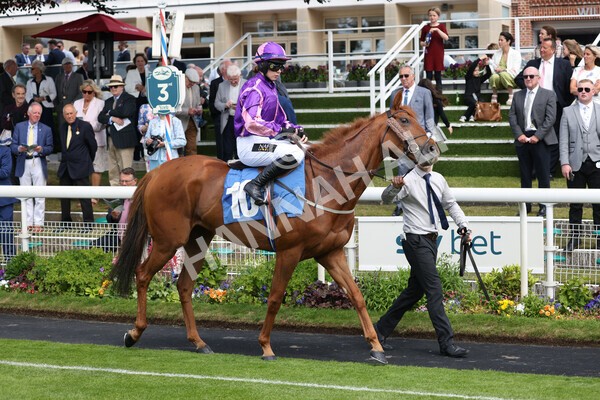 yr11062022r2-47 - Race 2 2.00pm Queen Mother's Cup