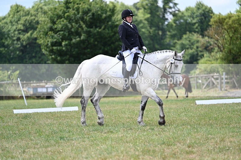 WJ7_4921 - Time 11:22 to 11:51