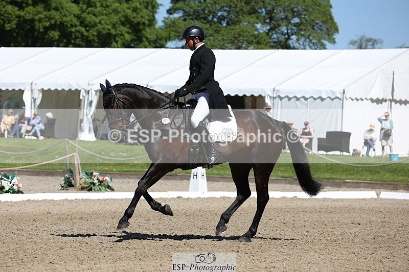 230526-103518-05288 - 362-SPIRIT'S_GEMINI-Harry_Dzenis-WEDTrotUp+DR