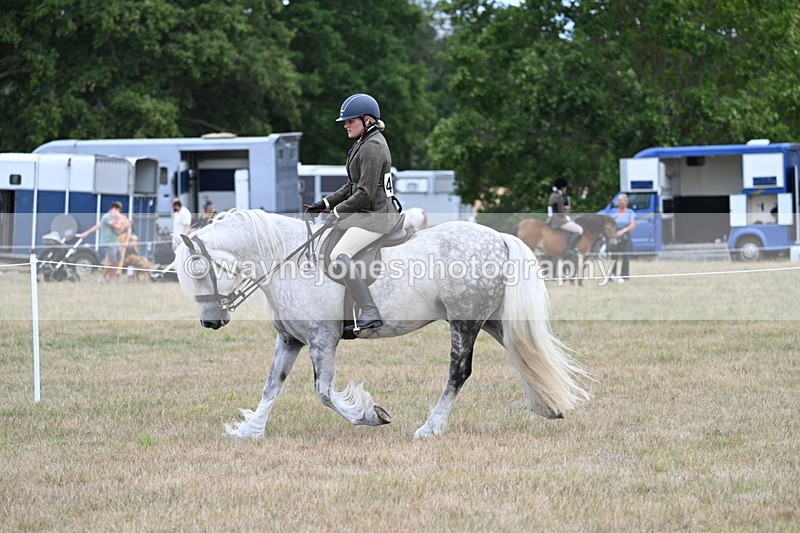 WJ7_4963 - Class 12 Ridden Cob