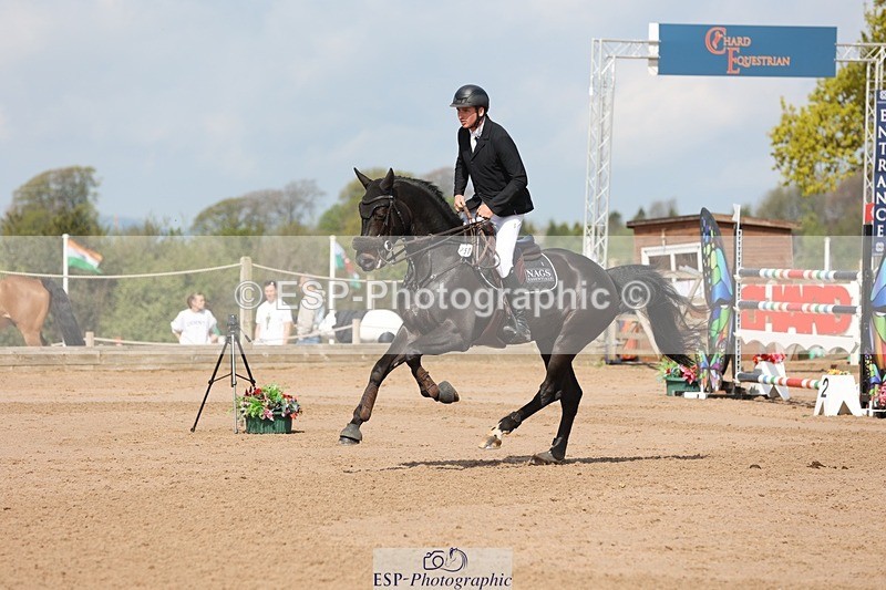 250427-105527-15697 - Cls 36 Young Horse 7yr old