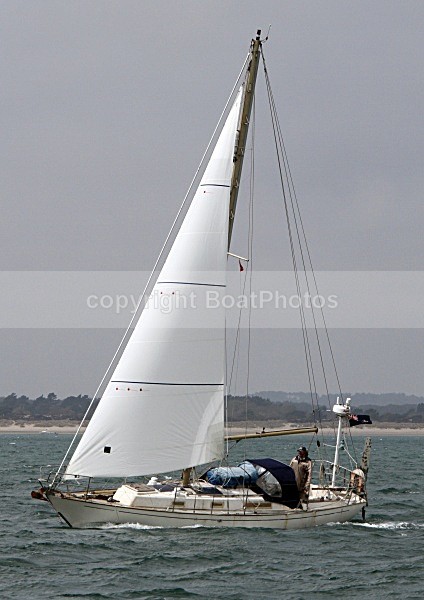 100425 SULI IMG_4820jpg - Sailboats - monohull