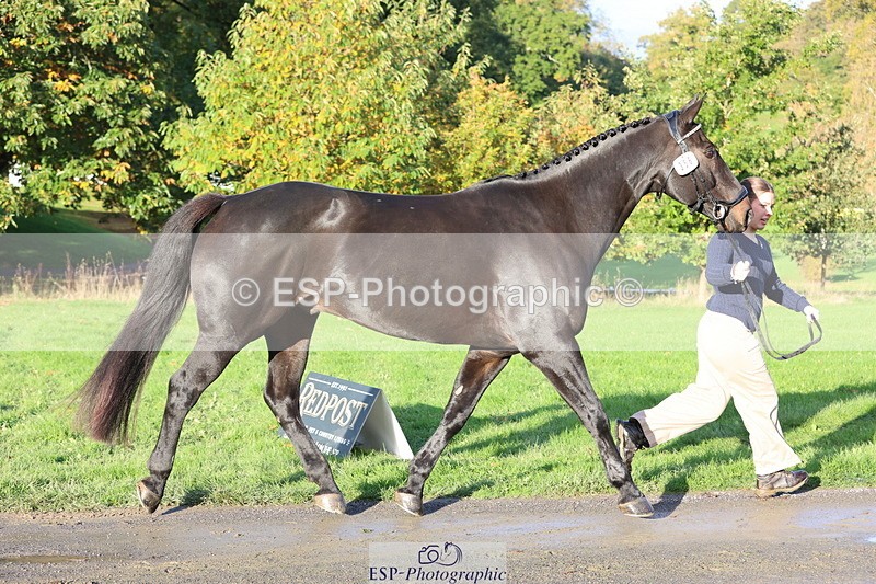 251026A-093611-22363 - D-356-Eloise.Starr